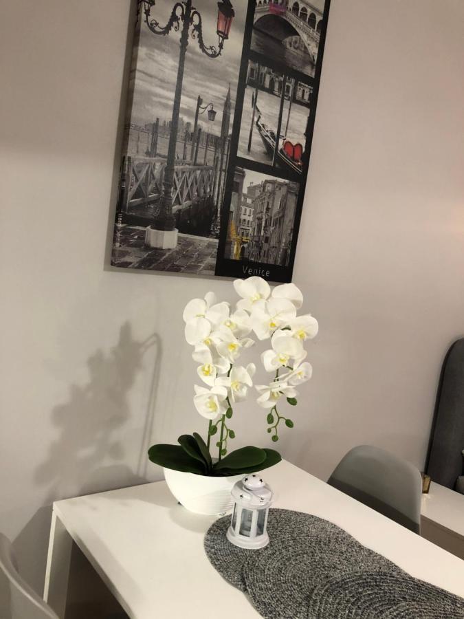 Apartamenty Na Zdrojowej 슈비노우이스쳬 외부 사진